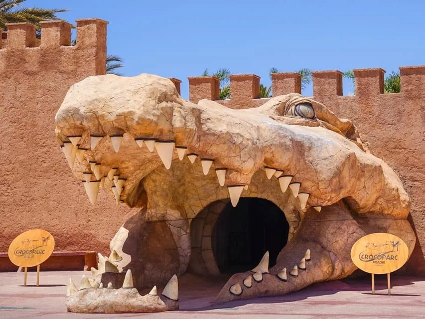 Agadir, Crocoparc y camellos en un día