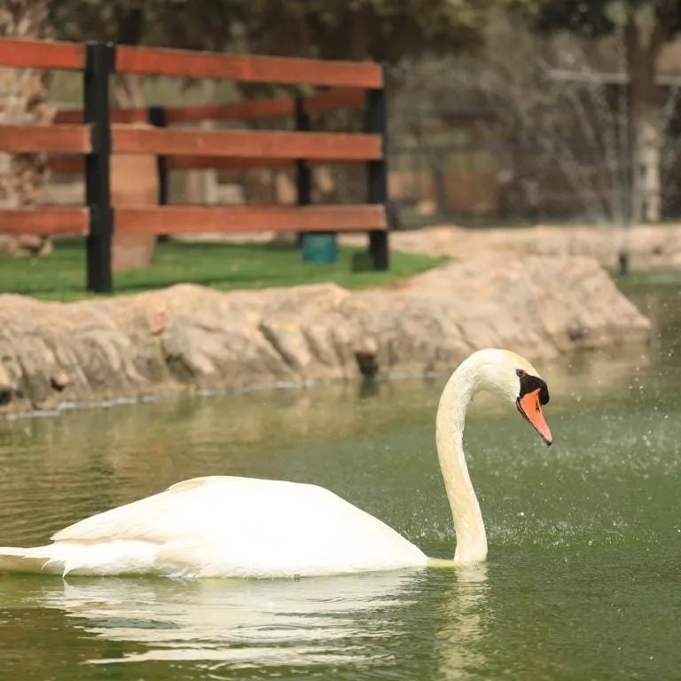 Villate Limoune: jardines y animales — Foto de la excursión 2