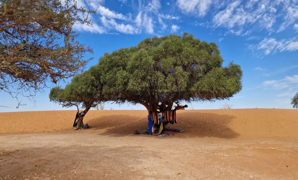 Regional 4x4 outing with a home-cooked tajine — Tour photograph 2
