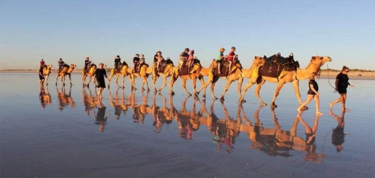 Passeio de camelo em Agadir