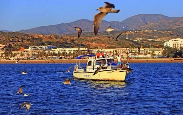 Passeio de barco