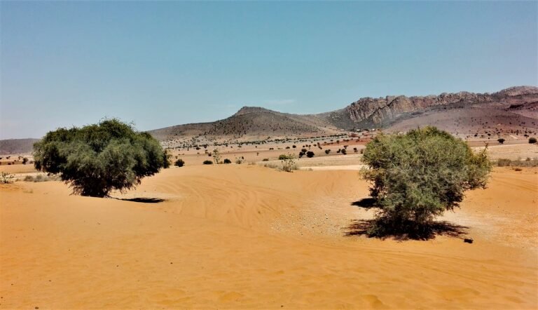 Agadir Szahara-sivatagi túrák