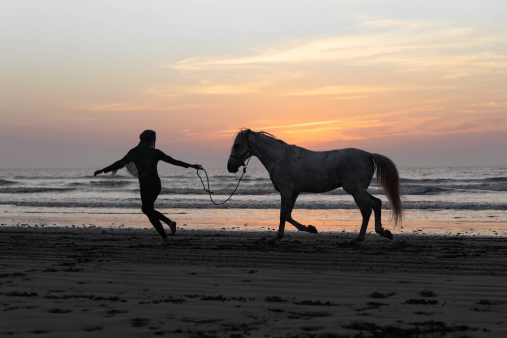 sunset horse riding