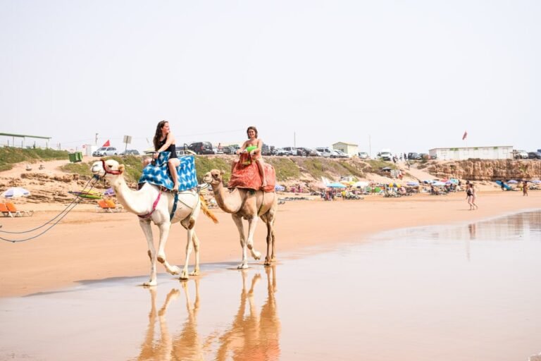 camel ride banana beach