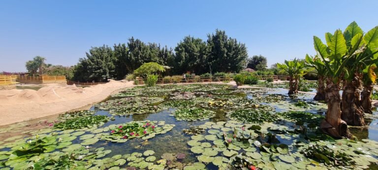 Parque dos Crocodilos de Taghazoute