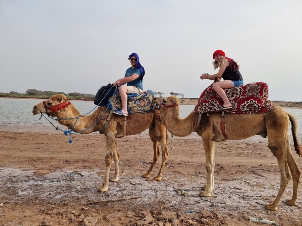 agadir-camel-riding-and