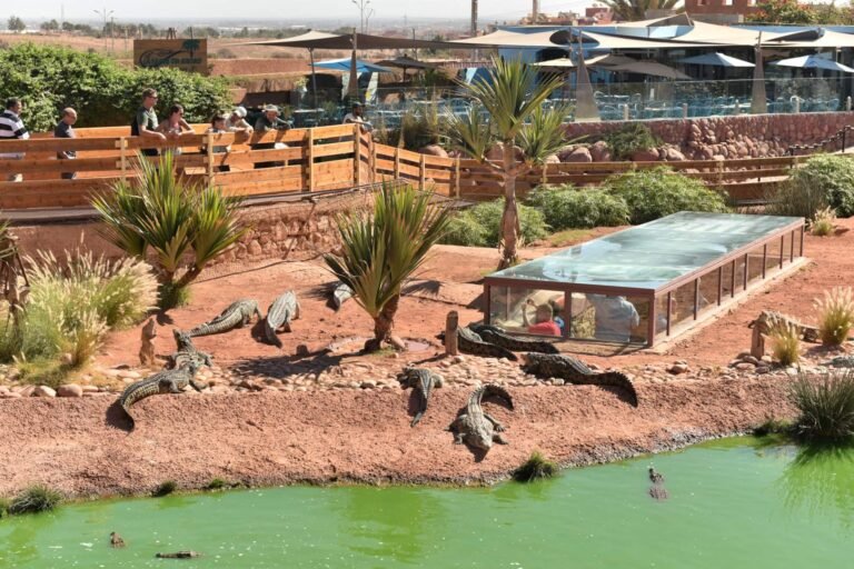 parque de crocodilos de Taghazoute