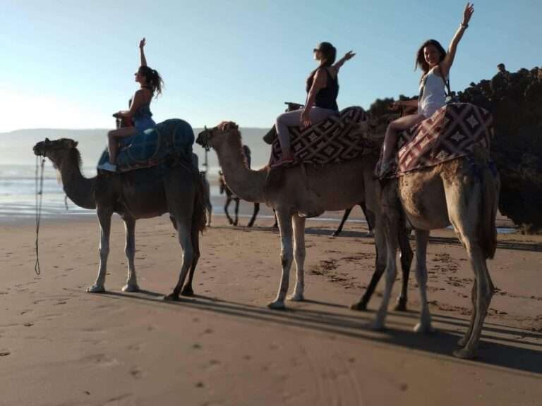 Camel Riding