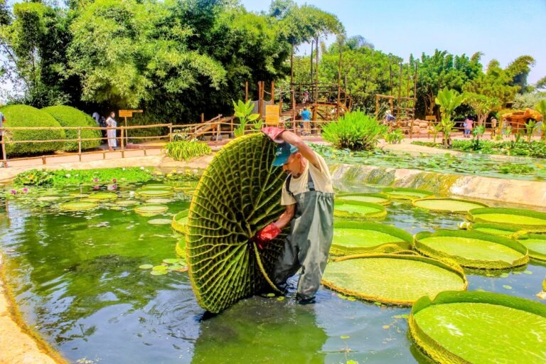 parque de crocodilos de Taghazoute