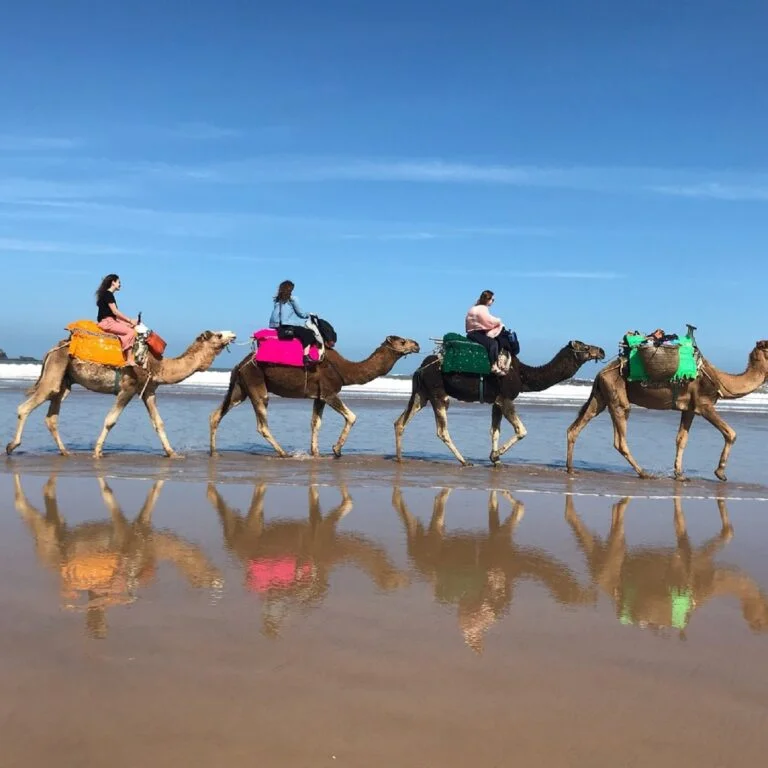 Passeio de camelo em Agadir