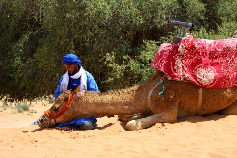 Agadir Szahara-sivatagi túrák