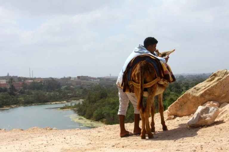 Agadir Szahara-sivatagi túrák