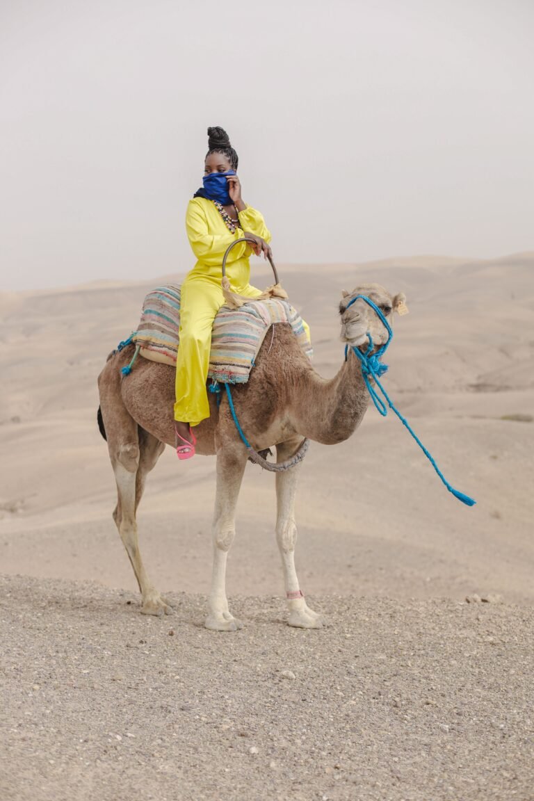 Paseos en camello en Agadir