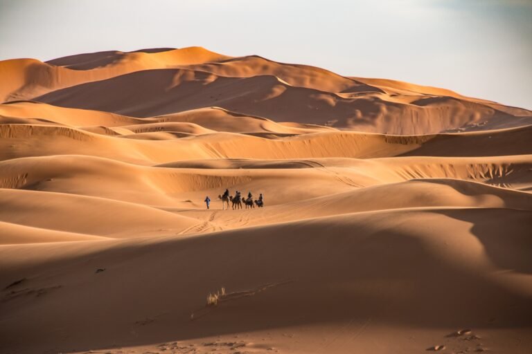 peter schulz ZXdnhz EsLY unsplash Agadir Viajes Excursiones